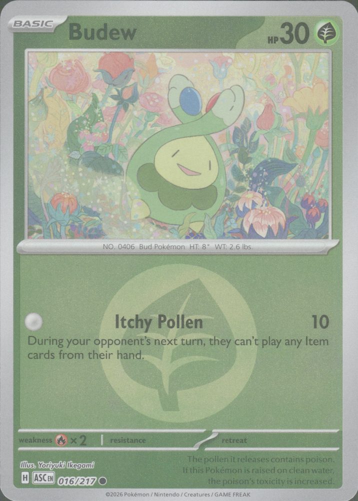 Budew — front scan
