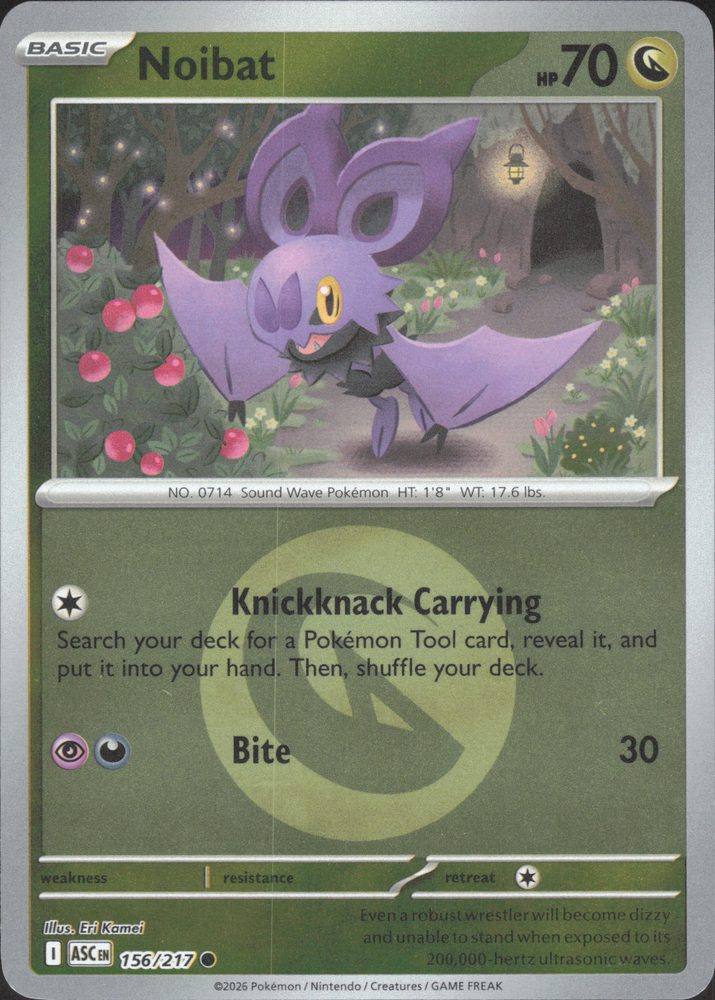 Noibat — front scan