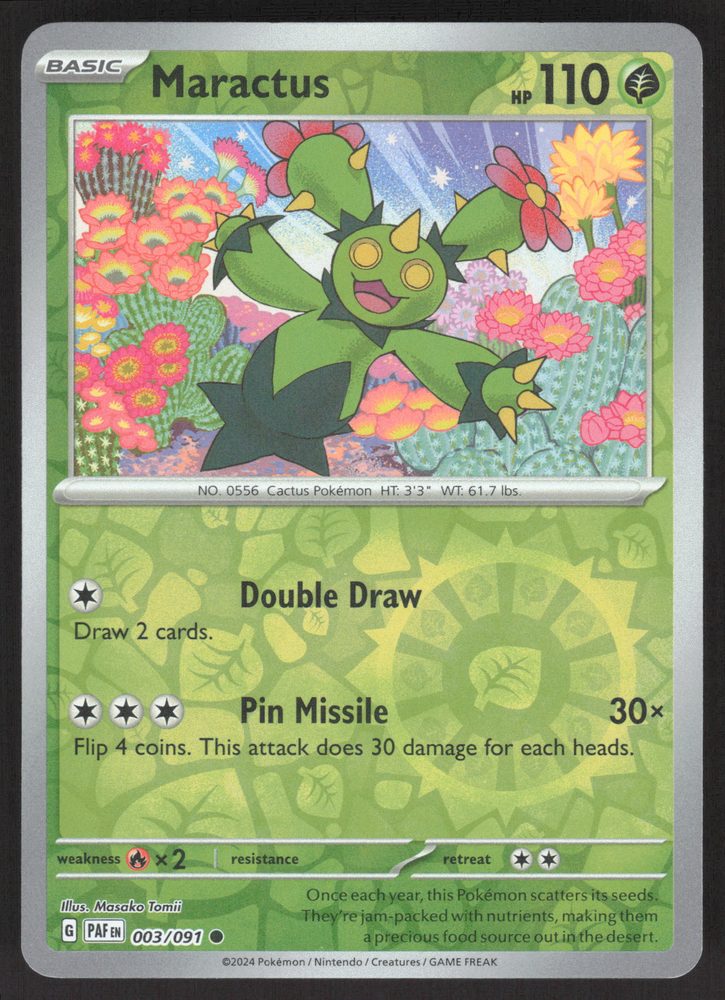 Maractus — front scan