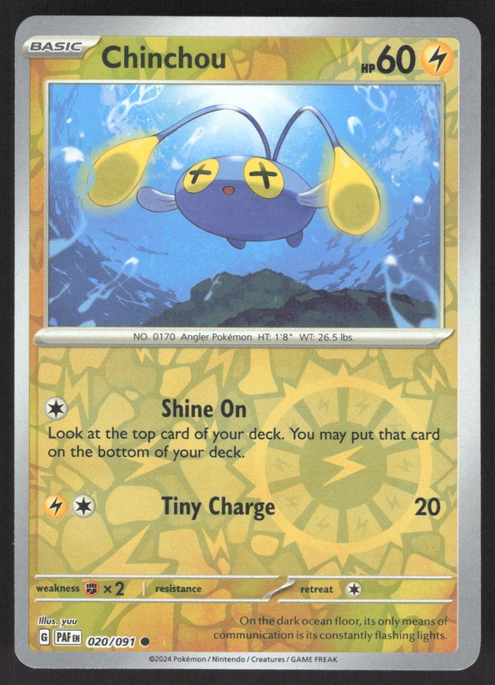 Chinchou — front scan