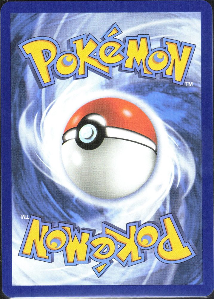 Noivern — back scan