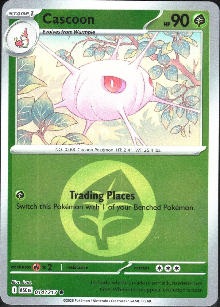 Cascoon — front scan