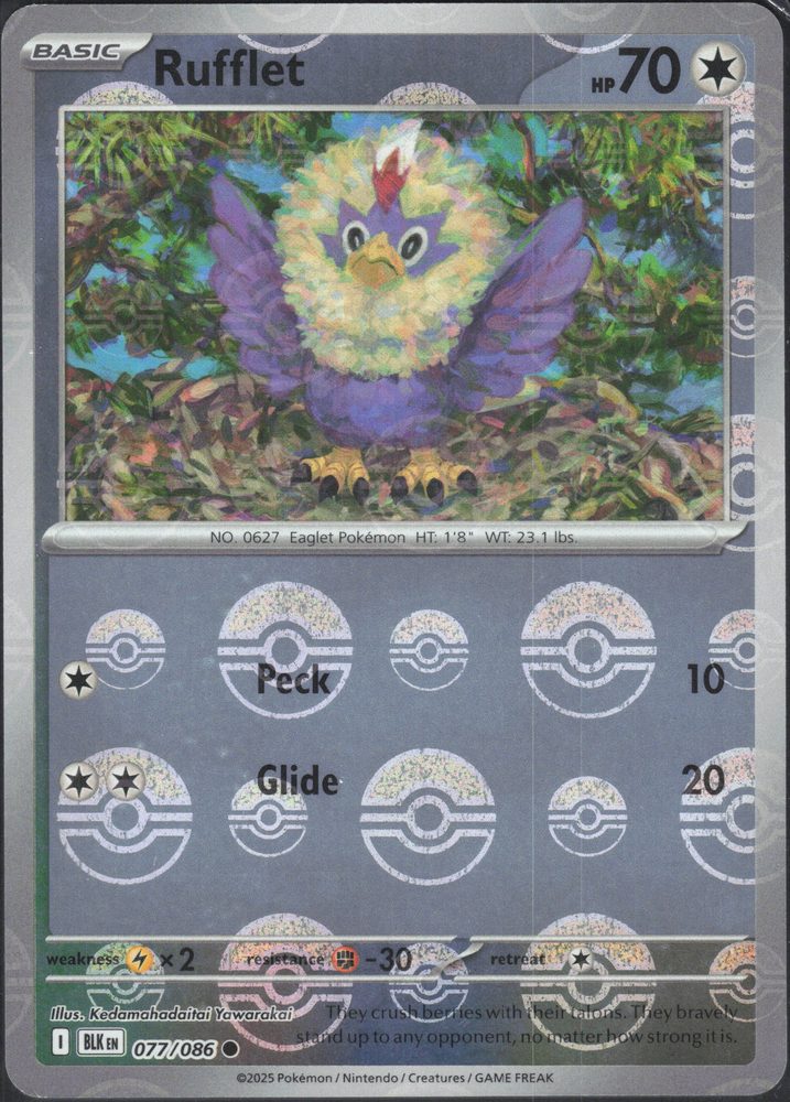 Rufflet — front scan