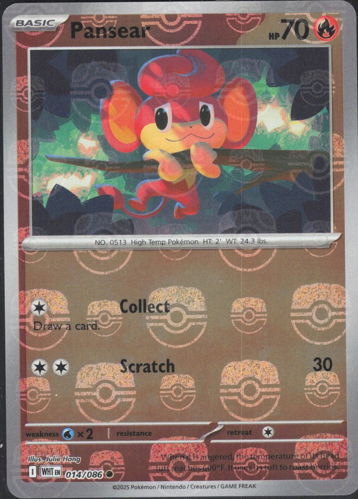 Pansear — front scan