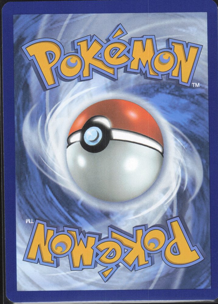 Rapidash — back scan