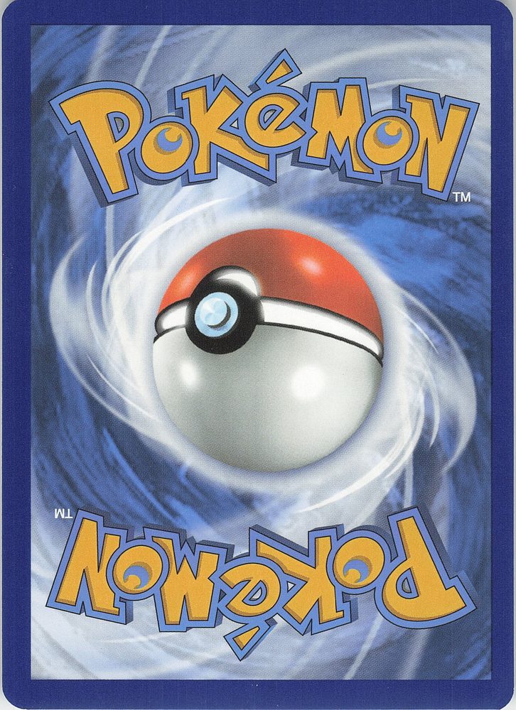 Noctowl — back scan