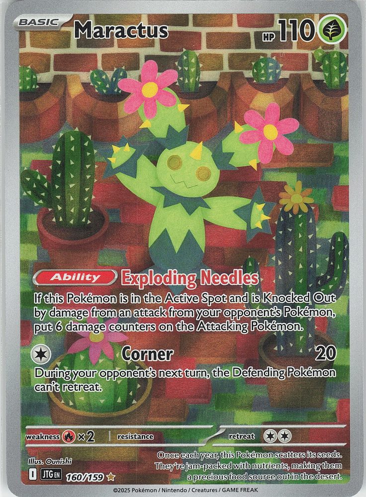 Maractus — front scan