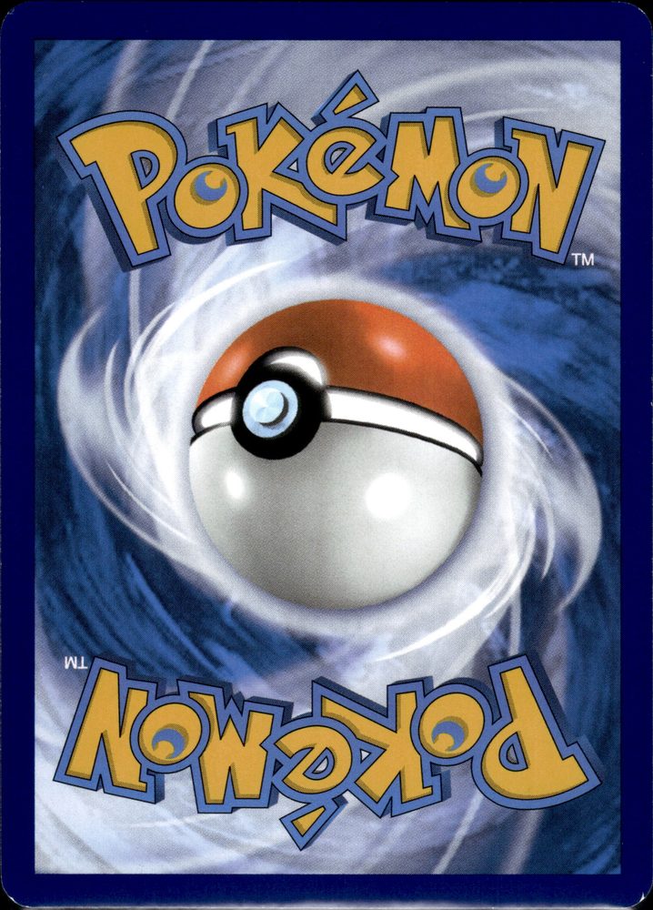 Janine's Secret Art — back scan