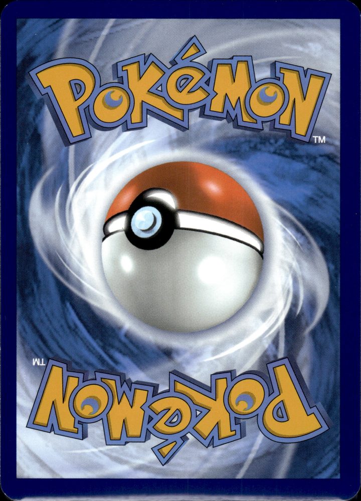 Krokorok — back scan