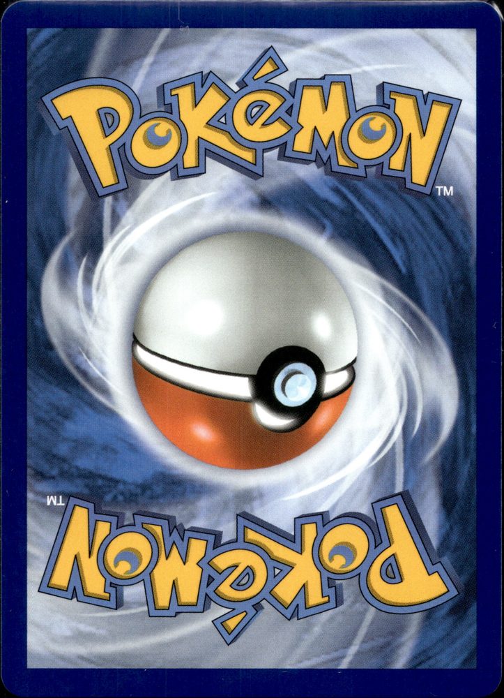 Tepig — back scan