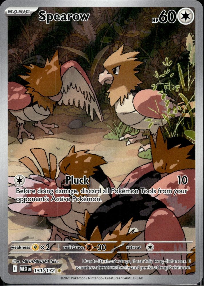 Spearow — front scan