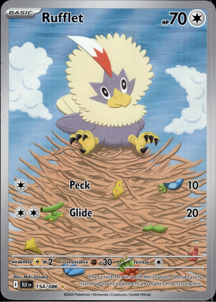 Rufflet — front scan